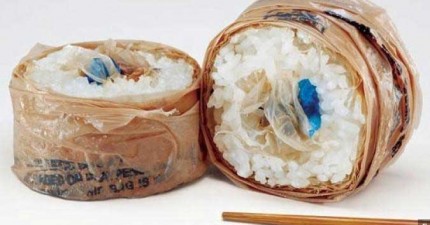 plastic-sushi