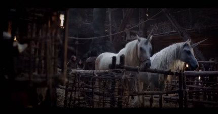 獨角獸為什麼絕種了