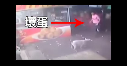 男子踢狗得到報應