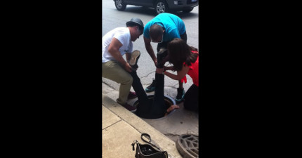 地下道救小鴨子