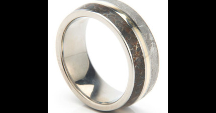 恐龍骨隕石戒指