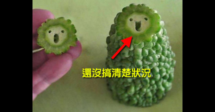 不想要被吃的食物